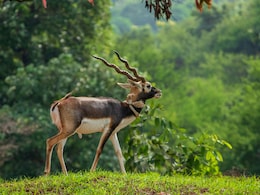 6 Hidden Gems In Madhya Pradesh For A Perfect Weekend Getaway 6 Hidden Gems In Madhya Pradesh For A Perfect Weekend Getaway