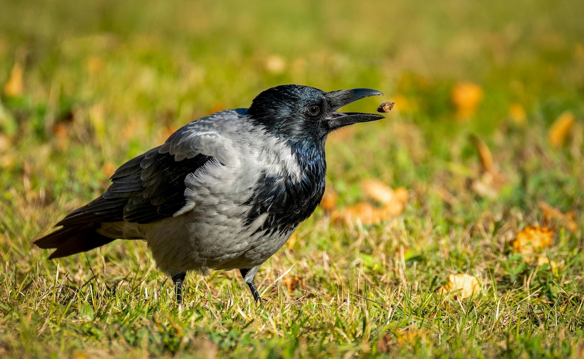 Latest and Breaking News on NDTV Latest and Breaking News on NDTV