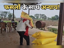 DAP Fertilizers: किसानों पर दोहरी मार, अब खाद के लिए लगा रहे समितियों के चक्कर; समाधान कब?