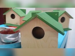 Rajasthan: घर बनाते समय पक्ष‍ियों का टूटा घोंसला तो हुआ दुख, पक्ष‍ियों के ल‍िए हर साल बनाता है 100 घर 