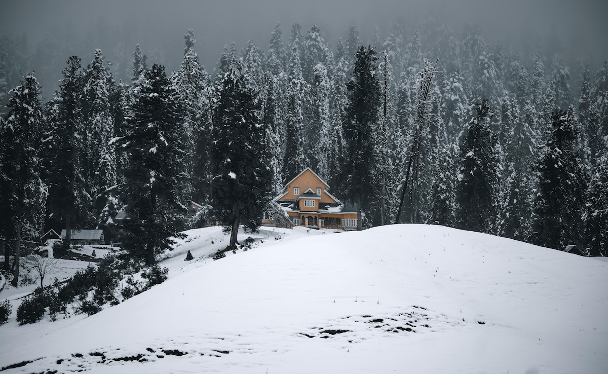 Latest and Breaking News on NDTV Latest and Breaking News on NDTV