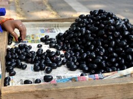 जामुन: गर्मियों का स्वादिष्ट तोहफा, सेहत का खजाना