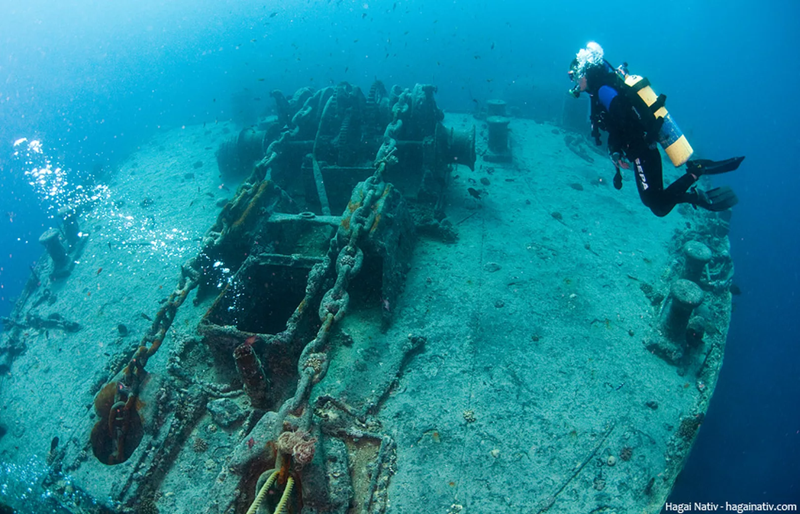 From WWII Ship Wrecks To Unseen Coral: 7 Wildly Unique Scuba Diving Spots Around The World