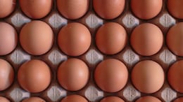 1.7 Million Eggs Recalled Across US Amid Salmonella Outbreak, 79 Cases So Far