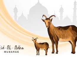 Happy Eid-Ul-Adha Mubarak Wishes: बरसती रहे सदा रहमत-ए-खुदा...यहां से चुनकर अपनों को भेजें बकरीद की मुबारकबाद Happy Eid-Ul-Adha Mubarak Wishes: बरसती रहे सदा रहमत-ए-खुदा...यहां से चुनकर अपनों को भेजें बकरीद की मुबारकबाद