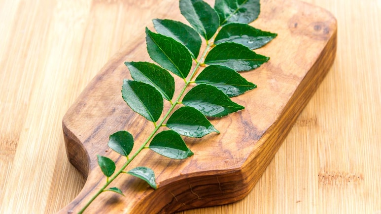 करी पत्ता खाने के फायदे और नुकसान | Benefits and Side Effects of Curry Leaves