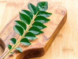 करी पत्ता खाने के फायदे और नुकसान | Benefits and Side Effects of Curry Leaves करी पत्ता खाने के फायदे और नुकसान | Benefits and Side Effects of Curry Leaves