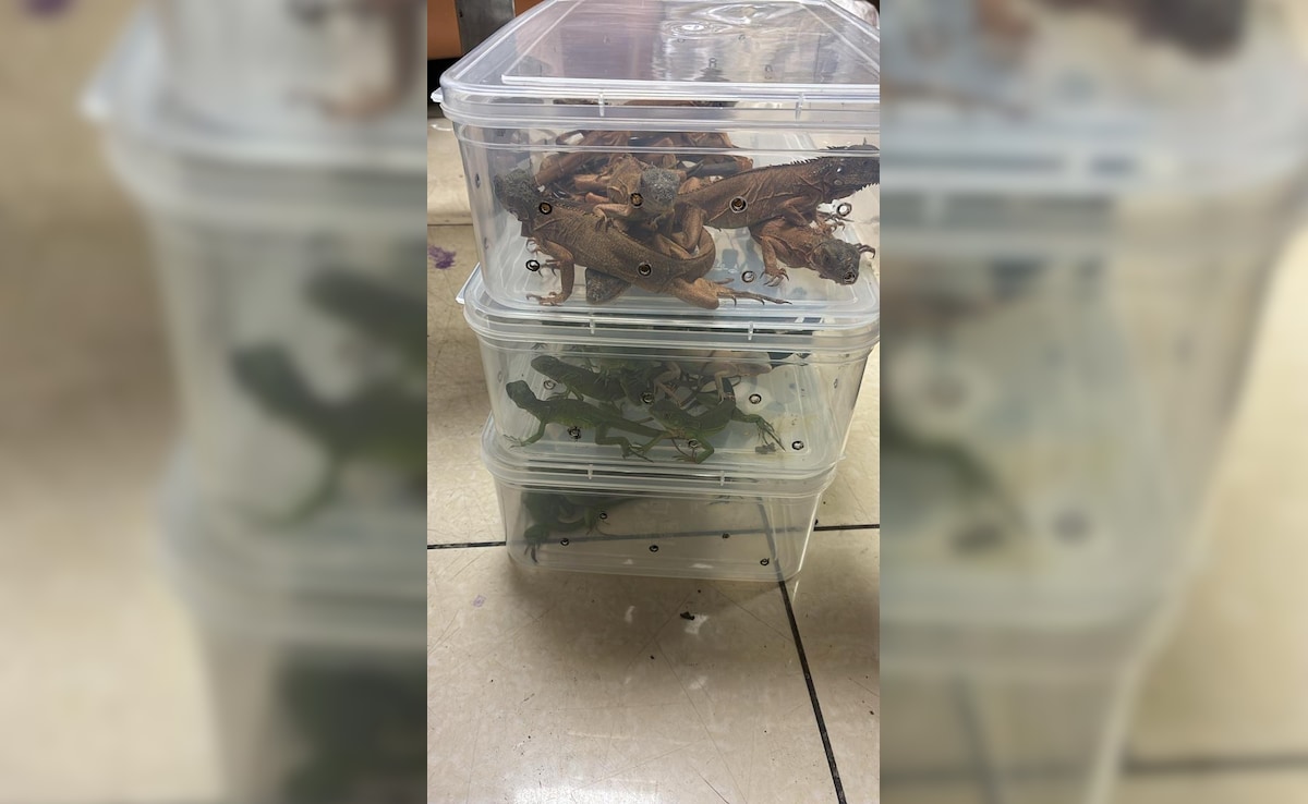 Latest and Breaking News on NDTV Latest and Breaking News on NDTV