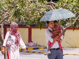 India Saw 20 Heatwave Days In 2024, Most Linked To Climate Change: Report India Saw 20 Heatwave Days In 2024, Most Linked To Climate Change: Report