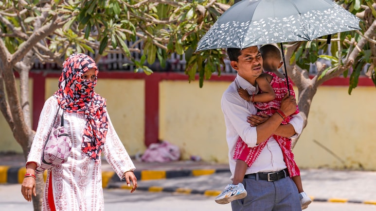 India Saw 20 Heatwave Days In 2024, Most Linked To Climate Change: Report India Saw 20 Heatwave Days In 2024, Most Linked To Climate Change: Report