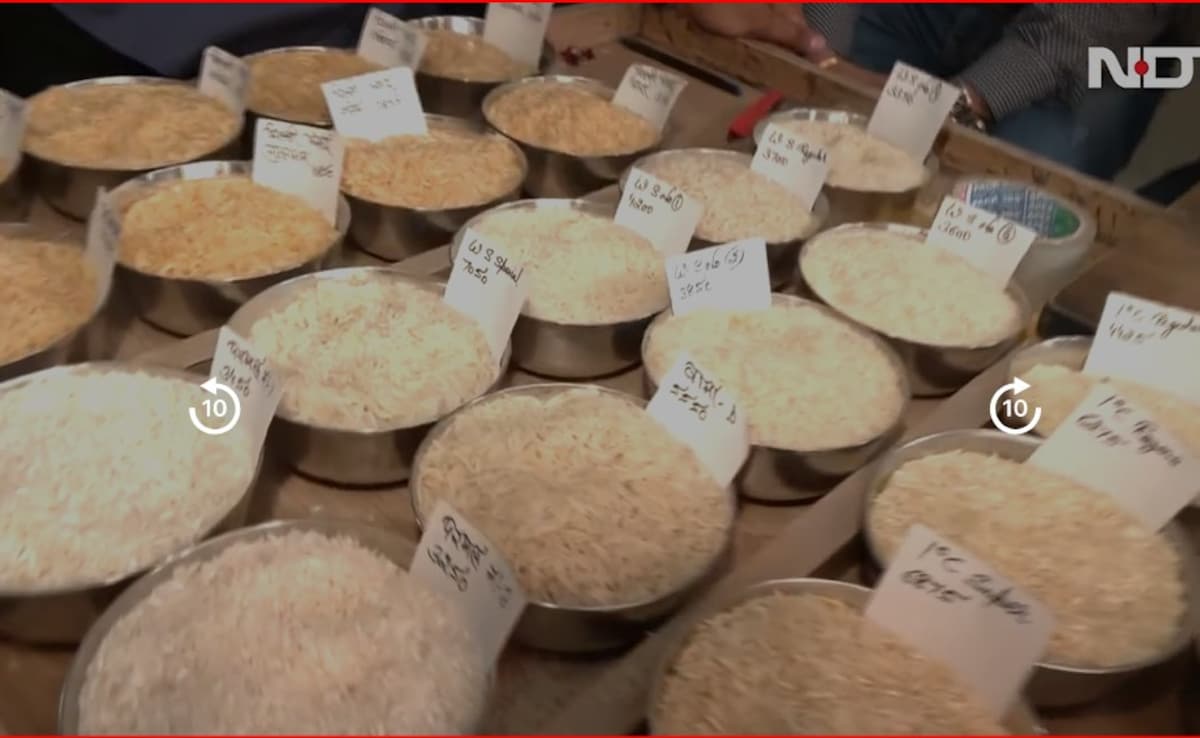 Latest and Breaking News on NDTV Latest and Breaking News on NDTV