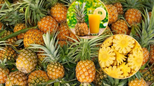 Pineapple Benefits: पीरियड्स के दौरान पेट में होते हैं दर्द तो अनानास जूस का करें सेवन, स्वाद-सेहत का है सुपरहीरो