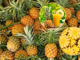Pineapple Benefits: पीरियड्स के दौरान पेट में होते हैं दर्द तो अनानास जूस का करें सेवन, स्वाद-सेहत का है सुपरहीरो Pineapple Benefits: पीरियड्स के दौरान पेट में होते हैं दर्द तो अनानास जूस का करें सेवन, स्वाद-सेहत का है सुपरहीरो