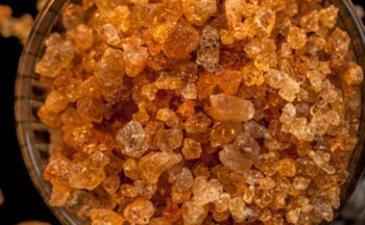 सर्दियों में गोंद खाने के फायदे, गोंद के लड्डू के फायदे, गोंद की तासीर कैसी होती है, गोंद क्या है, कमर दर्द के लिए गोंद, गोंद खाने का सही तरीका, इम्यूनिटी बढ़ाने के लिए गोंद, गोंद के स्वास्थ्य लाभ, सेहत के लिए गोंद,Gond ke fayde in winter, Benefits of eating Gond, Edible gum benefits, Gond ke laddu health benefits, Is Gond good for health, Eating Gond in cold weather, Indian superfoods for winter, Gond for joint pain, How to eat Gond. Latest and Breaking News on NDTV