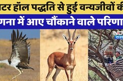 Wildlife Counting : Jaisalmer में  Water Hall Method से हुई Wildlife की Calculation Wildlife Counting : Jaisalmer में  Water Hall Method से हुई Wildlife की Calculation