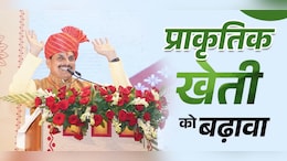 MP की मंडियों में प्राकृतिक और रासायनिक फसलों के उपार्जन के लिए अलग-अलग व्यवस्था; जानिए CM ने क्या कहा...