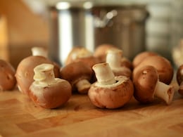 Why You Should Leave Mushrooms In The Sun Before Cooking Them Why You Should Leave Mushrooms In The Sun Before Cooking Them