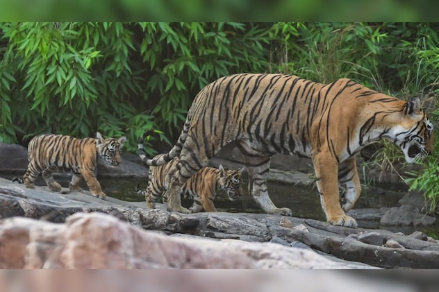 Latest and Breaking News on NDTV Latest and Breaking News on NDTV