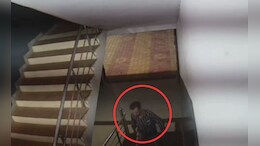 मेहमान बनकर आया चोर! शादी के दिन की बड़ी चोरी, CCTV में कैद हुआ आरोपी