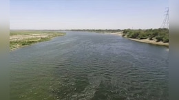 Rajasthan: यमुना जल से बदलेगी शेखावाटी की तस्वीर, 30 साल बाद समझौते को जमीन पर उतारने की तैयारी