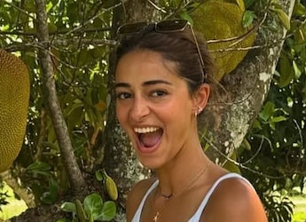 Ananya Panday's Farm Diaries In Miami Are All About Fresh Fruits And Cute Pictures Ananya Panday's Farm Diaries In Miami Are All About Fresh Fruits And Cute Pictures