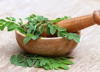 Is Moringa A Must-Have In Your Diet? Experts Decode PM Modi's Go-To Superfood