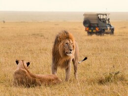 7 Essential Tips On How To Plan The Ultimate South African Safari Trip 7 Essential Tips On How To Plan The Ultimate South African Safari Trip