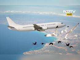 Plane crash:विमान अपघात रोखण्यासाठी पक्षांची दिशा सरकार बदलणार? पण कशी? Plane crash:विमान अपघात रोखण्यासाठी पक्षांची दिशा सरकार बदलणार? पण कशी?