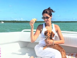 Ananya Panday's Miami Getaway Is Giving Us Major Travel Goals: 5 Things To Do Here