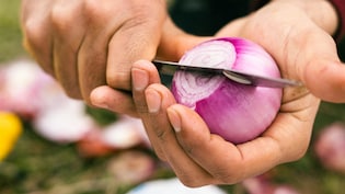 ये 5 लोग भूलकर भी न खाएं कच्चा प्याज, सेहत पर पड़ सकता है बुरा असर!