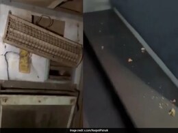 Broken, Dirty Seats: BSF Soldiers Get 'Filthy' Train Coaches, 4 Suspended Broken, Dirty Seats: BSF Soldiers Get 'Filthy' Train Coaches, 4 Suspended