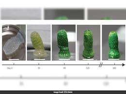 New 'Living' Material That Sucks CO2 From Air Developed By Scientists New 'Living' Material That Sucks CO2 From Air Developed By Scientists