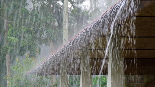 Rain Update : राज्यातील 20 जिल्ह्यांमध्ये पावसाची तूट; खरीप हंगाम संकटात येण्याची भीती