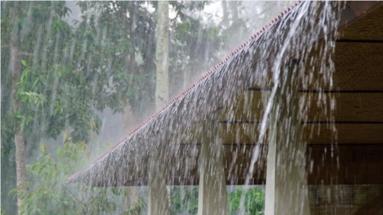 Rain Update : राज्यातील 20 जिल्ह्यांमध्ये पावसाची तूट; खरीप हंगाम संकटात येण्याची भीती Rain Update : राज्यातील 20 जिल्ह्यांमध्ये पावसाची तूट; खरीप हंगाम संकटात येण्याची भीती