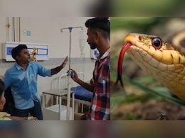 कटिहार: मानसून की दस्तक के साथ ही बढ़ा सांपों का आतंक,दो मासूम की मौत पर अस्पताल में हंगामा कटिहार: मानसून की दस्तक के साथ ही बढ़ा सांपों का आतंक,दो मासूम की मौत पर अस्पताल में हंगामा