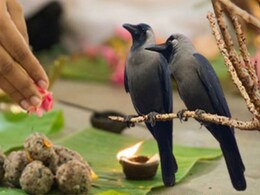 Darsh Amavasya 2025: दर्श अमावस्या कब, कैसे करें पितरों का तर्पण? मिलेगा सुख-समृद्धि का आशीर्वाद