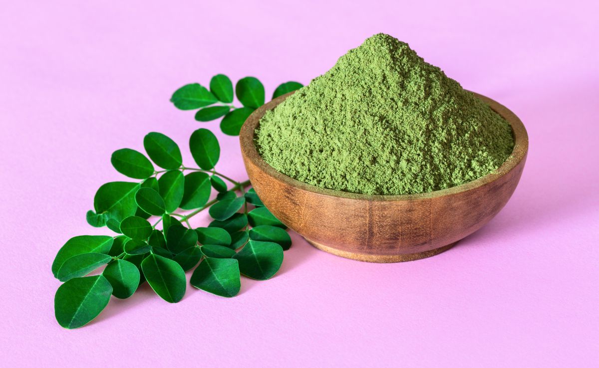 संतरे से 7 गुना, दूध से 17 गुना, केले से 15 गुना और पालक से 25 गुना ज़्यादा ताकतवर हैं आयरन सहजन की पत्तियां, ब