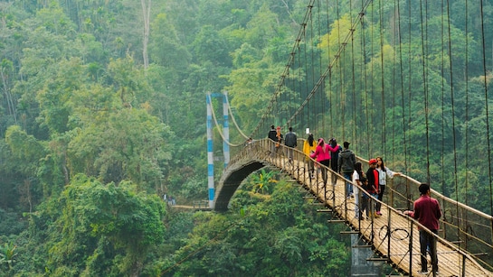  Meghalaya to strengthen resident safety law in wake of Sohra honeymoon murder