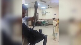 Video - 'I've Been Bit, Help': Rajasthan Man Walks Into Hospital Holding Huge Snake