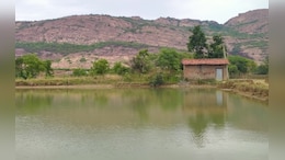 Rajasthan News: राजस्थान के अलवर में सेल्फी लेते समय बांध में गिरने से युवक की मौत