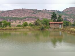 Rajasthan News: राजस्थान के अलवर में सेल्फी लेते समय बांध में गिरने से युवक की मौत