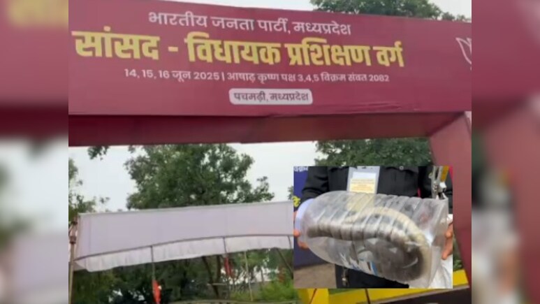 BJP के प्रशिक्षण शिविर में पहुंच गया 6 फीट लंबा घोड़ा पछाड़ सांप, ऐसे किया गया काबू