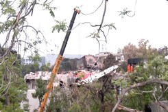 The Tail Of The Air India Crashed Aircraft Ready To Be Lifted From The Site The Tail Of The Air India Crashed Aircraft Ready To Be Lifted From The Site