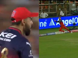 Virat Kohli Can't Control Emotions As Phil Salt Takes Blinder Of A Catch To Leave PBKS Shocked In IPL Final