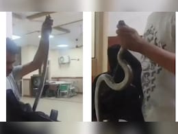 सांप ने काटा तो बनाया 'कैदी', बैग में भरकर खुद पहुंचा अस्पताल, देखिए वायरल वीडियो सांप ने काटा तो बनाया 'कैदी', बैग में भरकर खुद पहुंचा अस्पताल, देखिए वायरल वीडियो