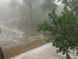 Rajasthan Rain Update: राजस्थान में मानसून दिखाने लगा रंग, प्रदेश के 24 जिलों में बारिश का अलर्ट जारी Rajasthan Rain Update: राजस्थान में मानसून दिखाने लगा रंग, प्रदेश के 24 जिलों में बारिश का अलर्ट जारी
