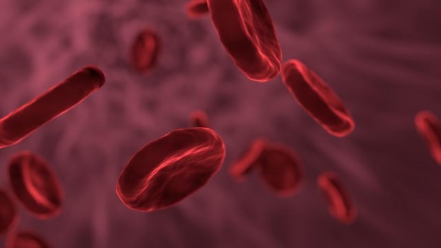 Indian Breakthrough In Bone Marrow Transplant To Aid Children With Sickle Cell Disease