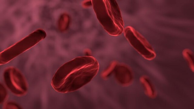 Indian Breakthrough In Bone Marrow Transplant To Aid Children With Sickle Cell Disease