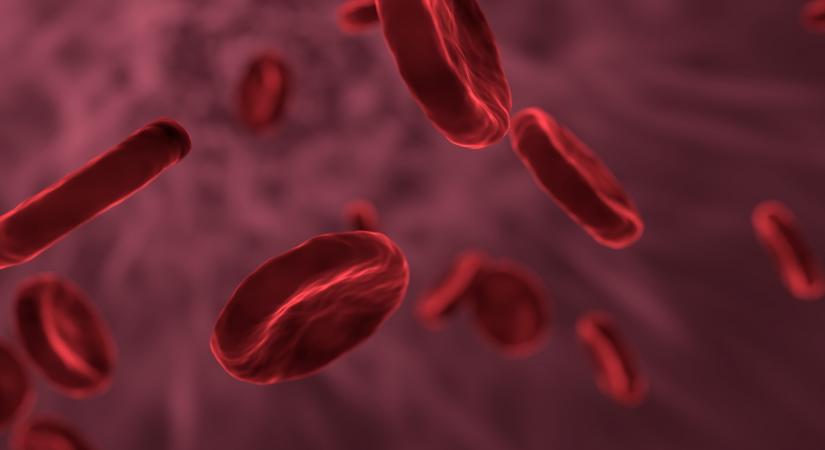 Indian Breakthrough In Bone Marrow Transplant To Aid Children With Sickle Cell Disease