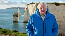 NDTV Exclusive: On World Oceans Day, <i>Ocean With David Attenborough</i> Makers Deep Dive Into Life Under Water